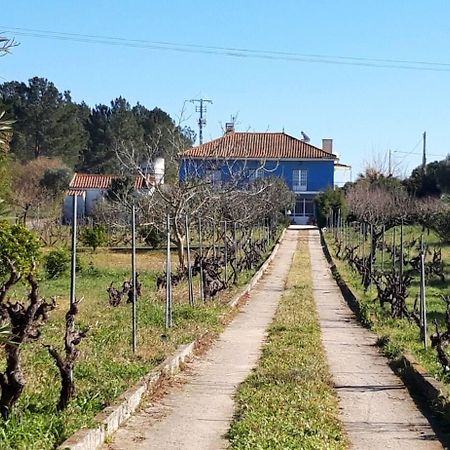 Casa Azul Tomar privé vakantiehuis + zwembad Bagian luar foto