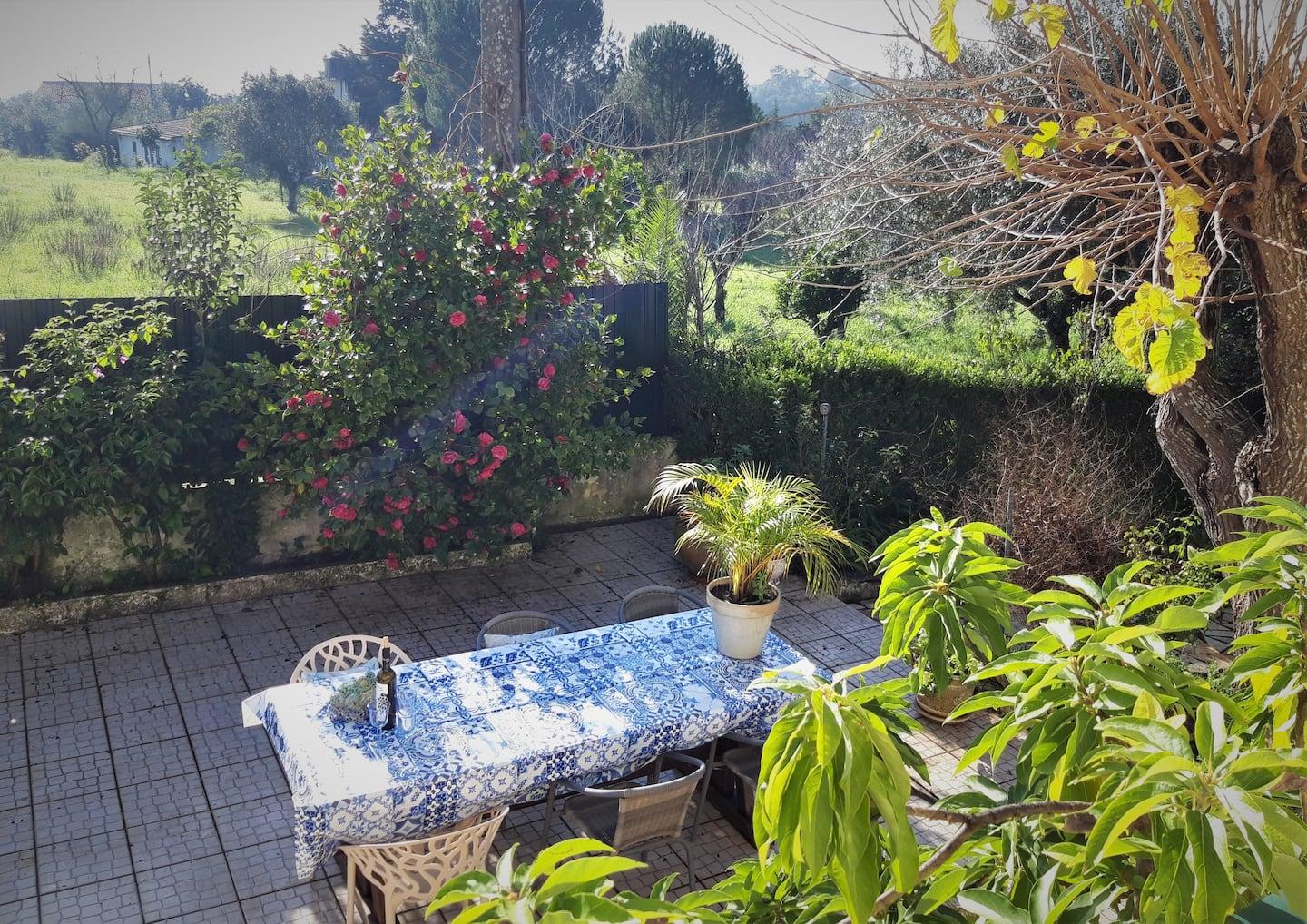 Casa Azul Tomar privé vakantiehuis + zwembad Bagian luar foto