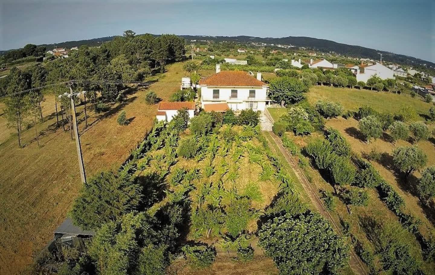 Casa Azul Tomar privé vakantiehuis + zwembad Bagian luar foto