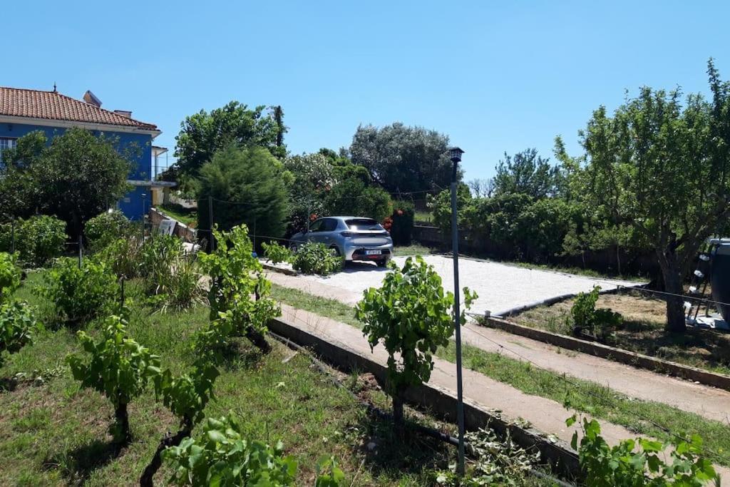 Casa Azul Tomar privé vakantiehuis + zwembad Bagian luar foto
