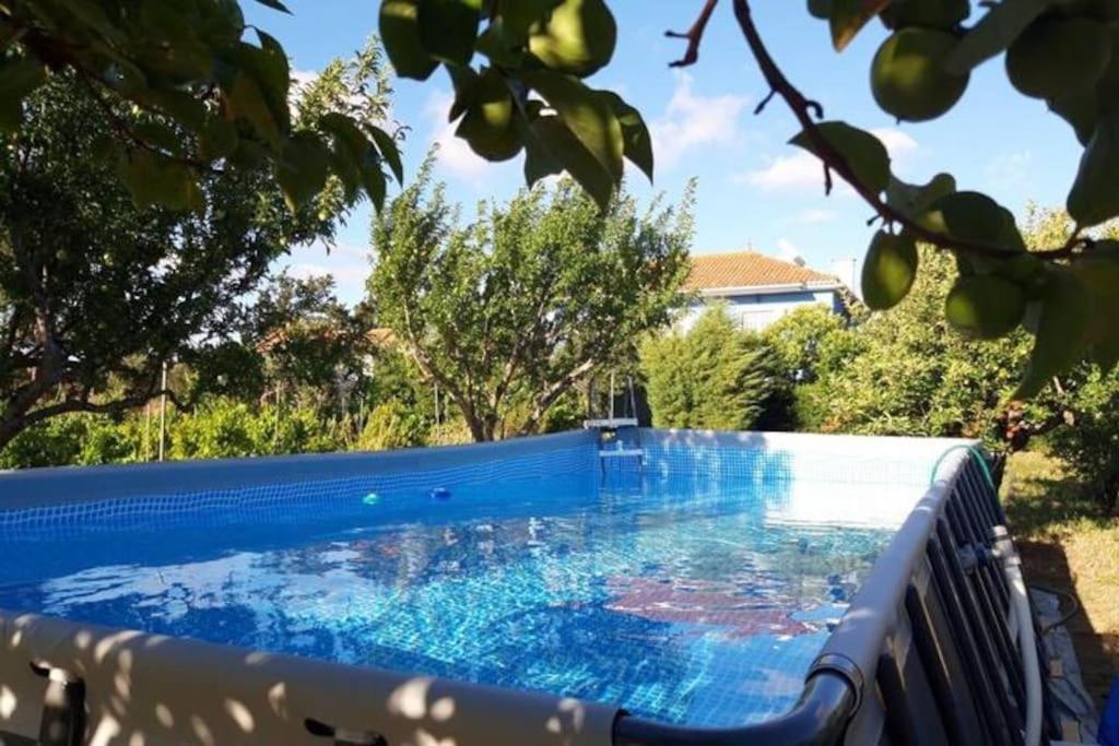 Casa Azul Tomar privé vakantiehuis + zwembad Bagian luar foto