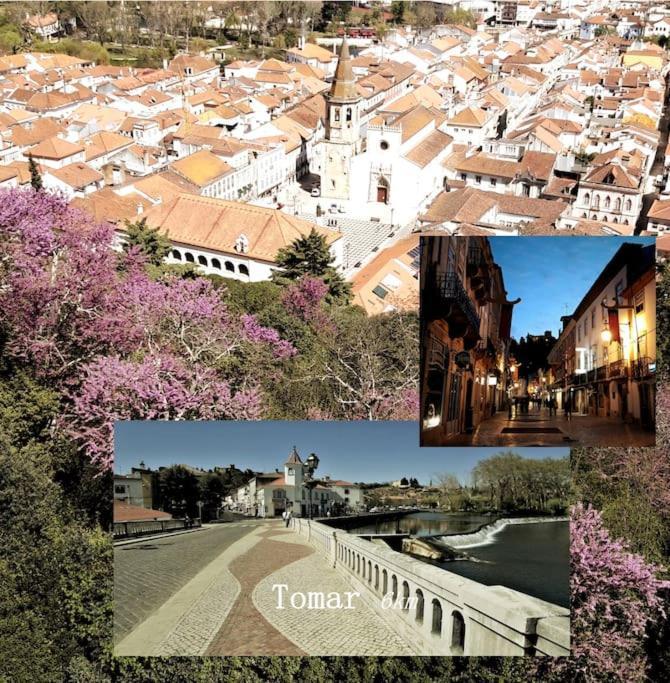 Casa Azul Tomar privé vakantiehuis + zwembad Bagian luar foto